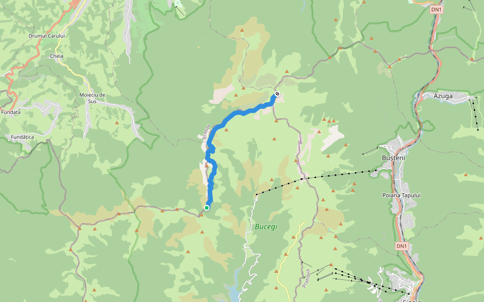 Cabana Omu - Muntele Strungile - Cabana Padina walking route map in Moieciu de Sus