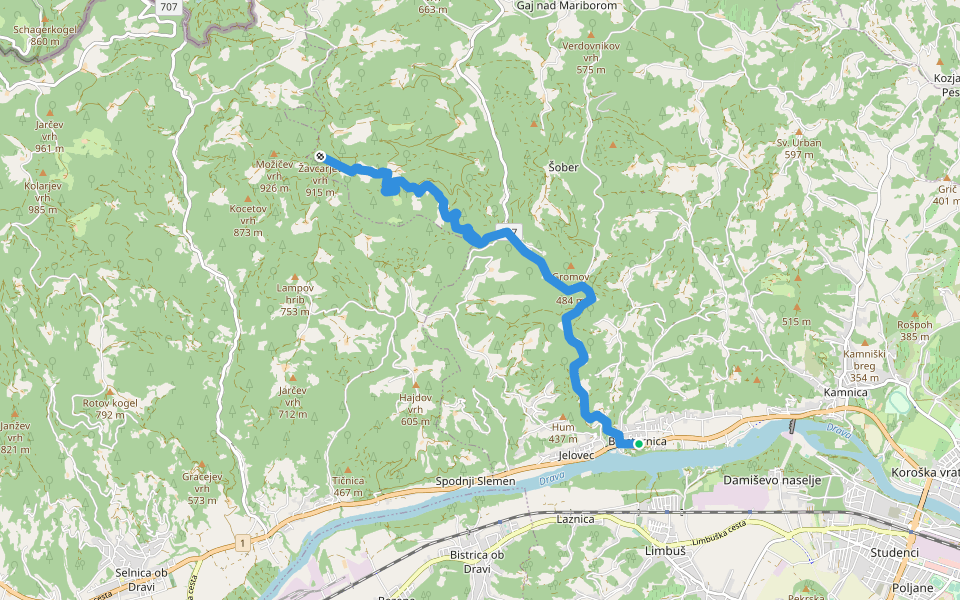 Bresternica - Žavcarjev vrh walking route map in Bresternica
