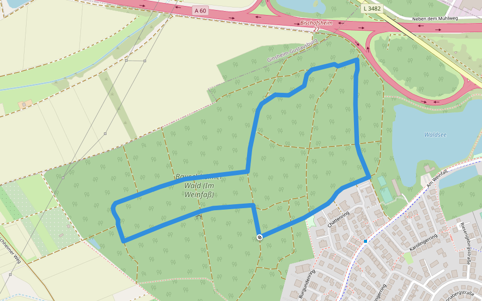 Trimm-Dich-Pfad Bauschheimer Wald walking route map in Rüsselsheim am Main