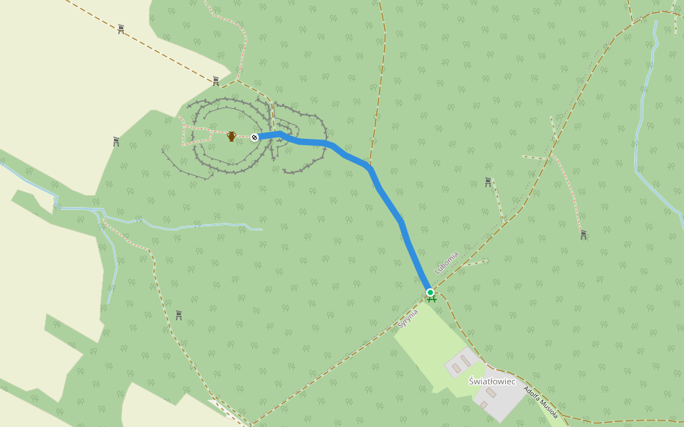 Czarny szlak Syrynia Las - Grodzisko Gołężyców walking route map in Syrynia