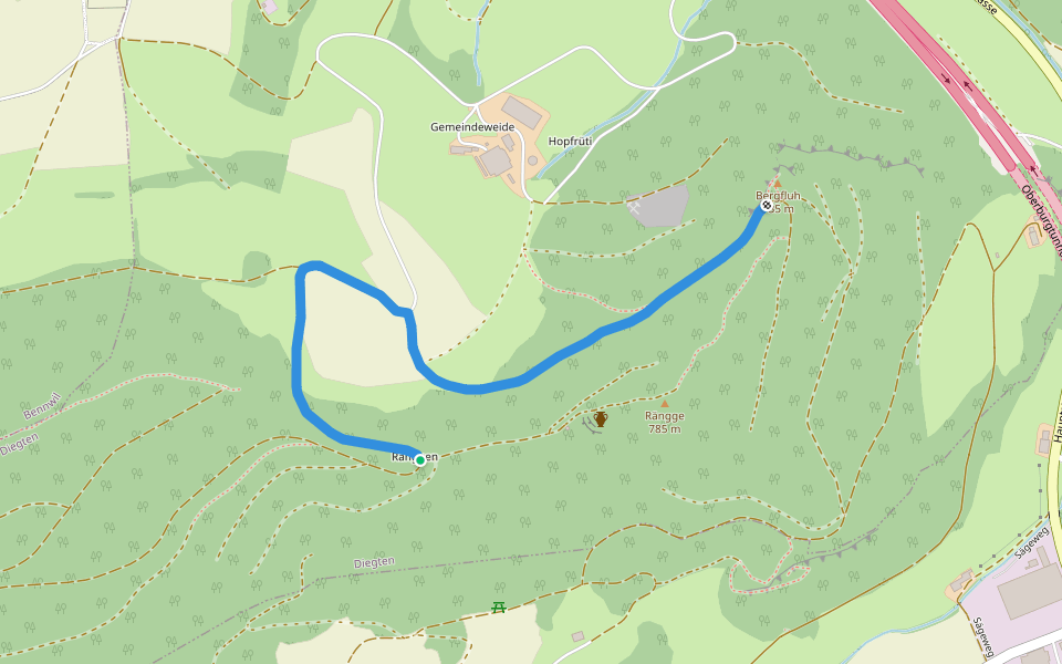 Bergflue - Ränggen walking route map in Diegten