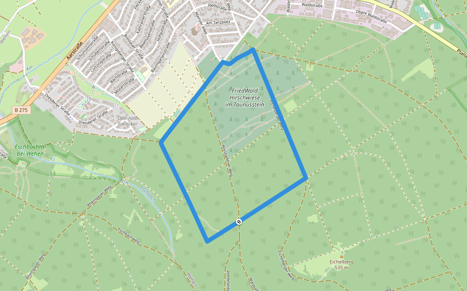 Rundwanderweg Tanne walking route map in Taunusstein
