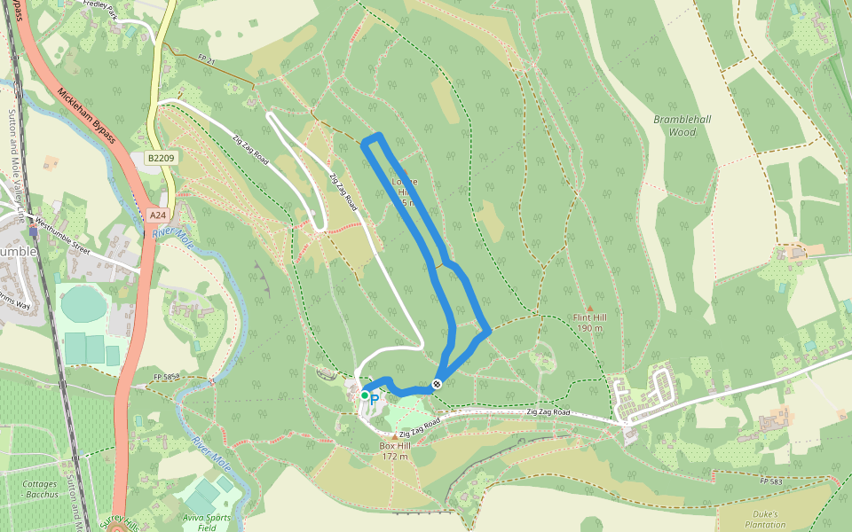 Natural Play Trail