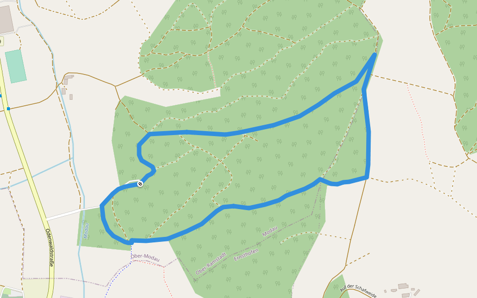 Rundwanderweg Modautal Am Mühlwald 4: Brunnenkopf-Weg