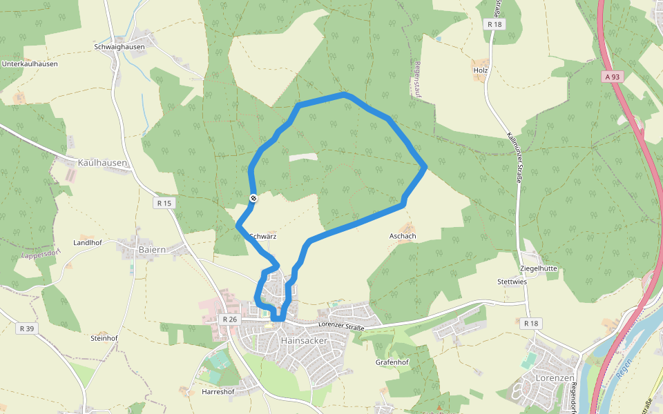 Permanenter Wanderweg (grün) walking route map in Lappersdorf