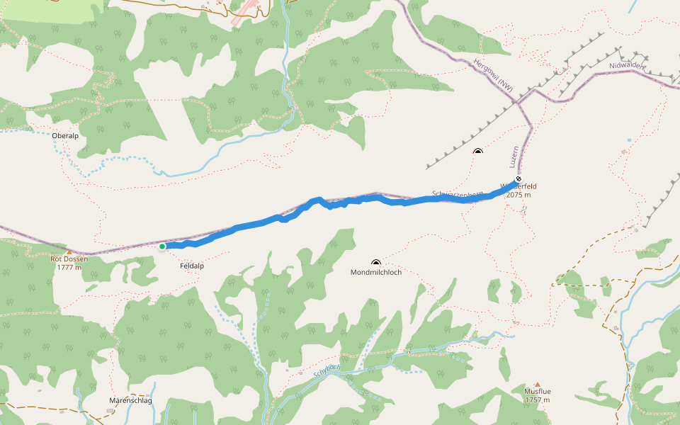 Felli - Widderfeld