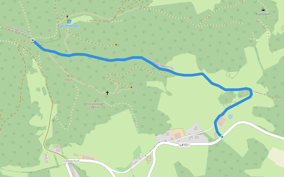Bürg - Steinfelderhütte walking route map in Vöstenhof