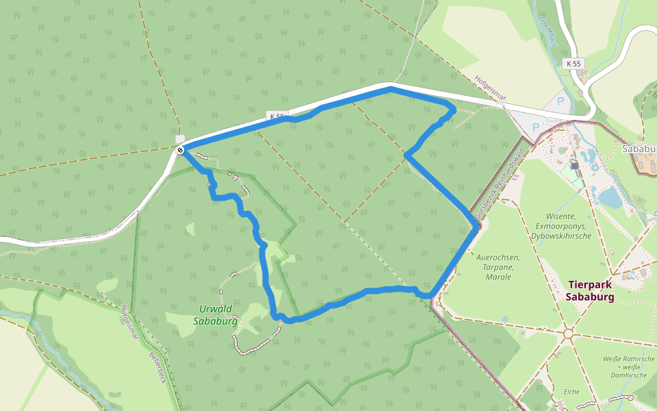 Rundweg Urwald Sababurg rot walking route map in Gutsbezirk Reinhardswald