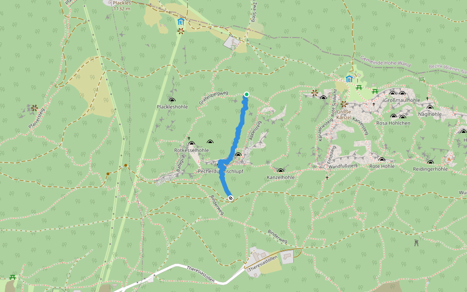 Zahmes Pechersteiglein walking route map in Oberhöflein