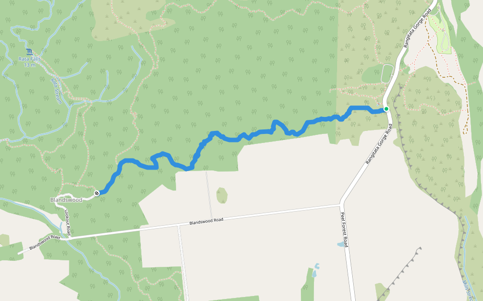 Fern Walk walking route map in Peel Forest
