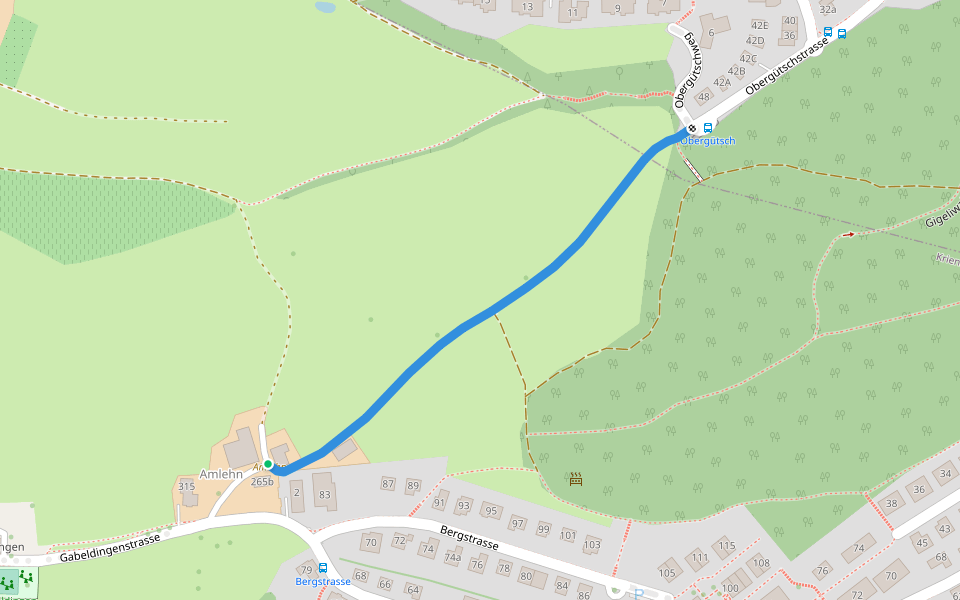 Amlehn - Ober Gütsch
