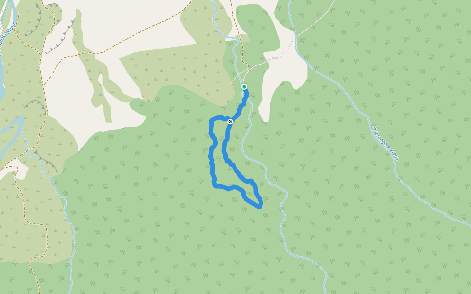 Sanctuary Loop Walk walking route map in Minginui