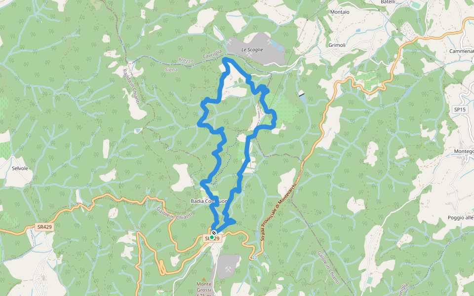 Trekking tra i castelli 7 (COLTIBUONO) walking route map in Badia Coltibuono
