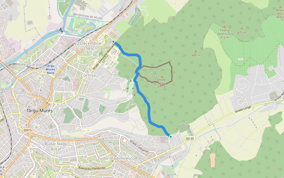 Târgu Mureș (Mașini Calcul) - Zoo- Institutul de Medicină walking route map in Târgu Mureș