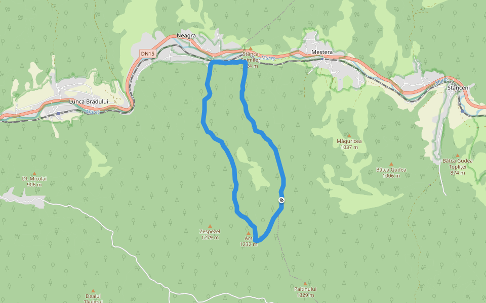 Neagra - Pârâul Schwarz - Poiana Cădăreni - Pârâul Cădăreni - Neagra walking route map in Meștera