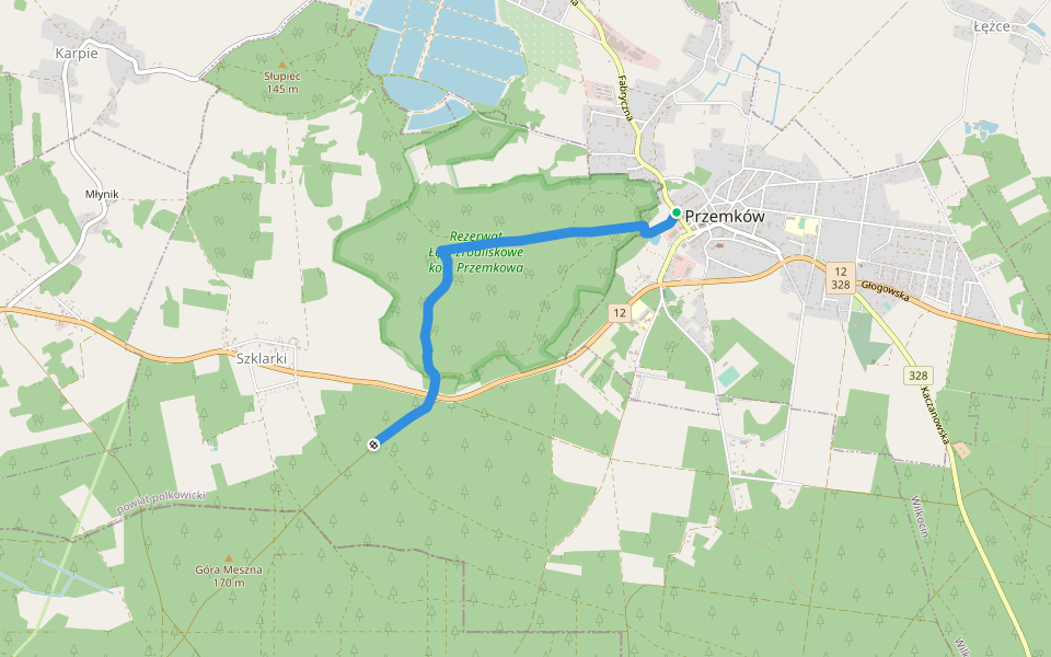 Ścieżka "Lasy okolic Przemkowa" walking route map in Przemków