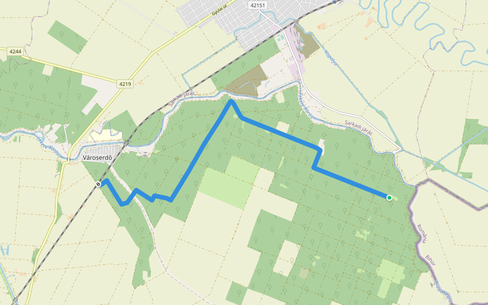 P (Mályvádi őstölgyes – Halas – Sitka – Városerdő vmh.) walking route map in Gyula
