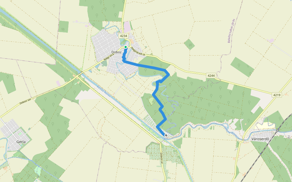 P (Szanazug – Papholt-erdő – Doboz) walking route map in Doboz
