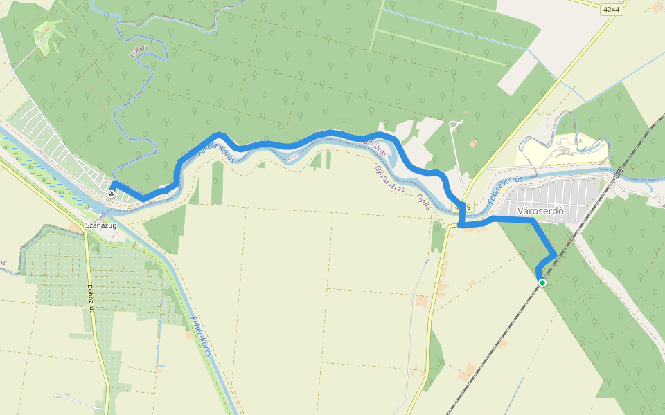 P (Városerdő vmh. – Remete – Szanazug) walking route map in Gyula