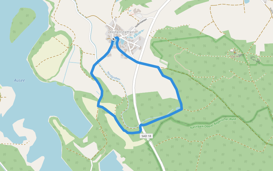Birkenhofweg walking route map in Neunburg