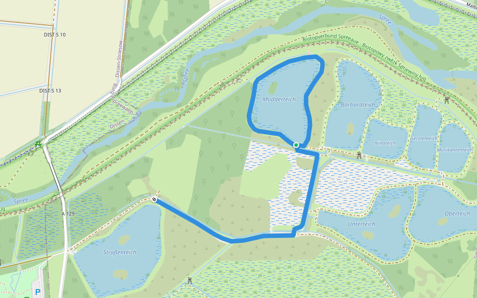 Spreeaue Karpfentour walking route map in Cottbus