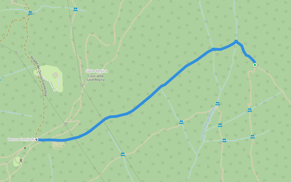 Collegamento Sentiero 334 - 420 walking route map in Nave