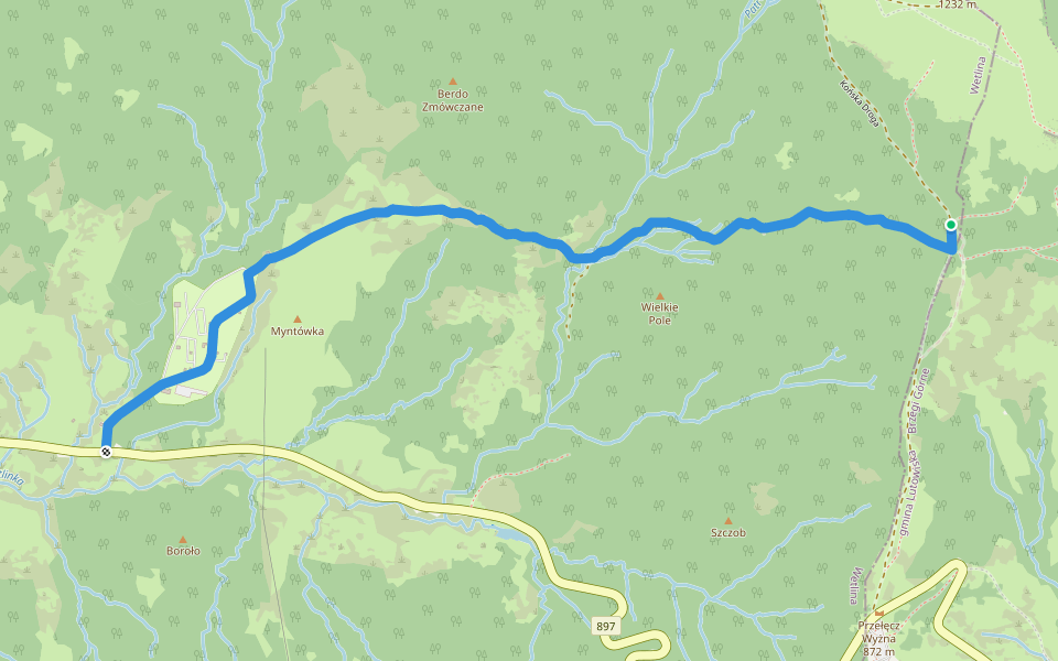 Górna Wetlinka - Końska Droga walking route map in Berehy Górne