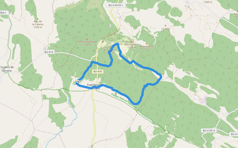 PR-BU 78 Sabinar del Arlanza walking route map in Espinosa de Cervera