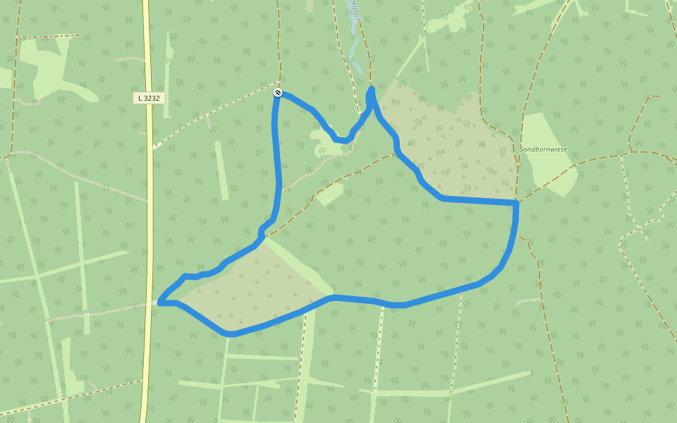 Schneidersbaum, Rundweg 6 walking route map in Gutsbezirk Reinhardswald