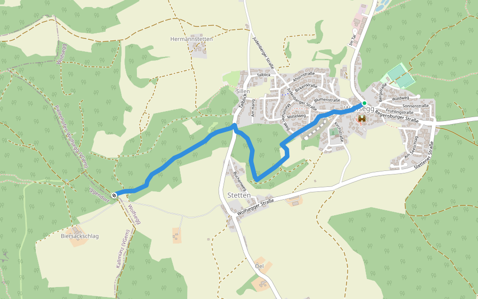 W 51 Wolfsegg - W50 (Rotes Rechteck) walking route map in Wolfsegg