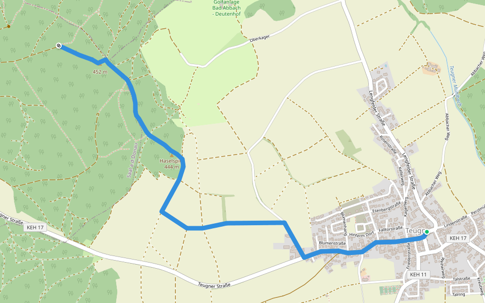 S 04 Teugn - Haselspitz (Blaues Rechteck) walking route map in Teugn