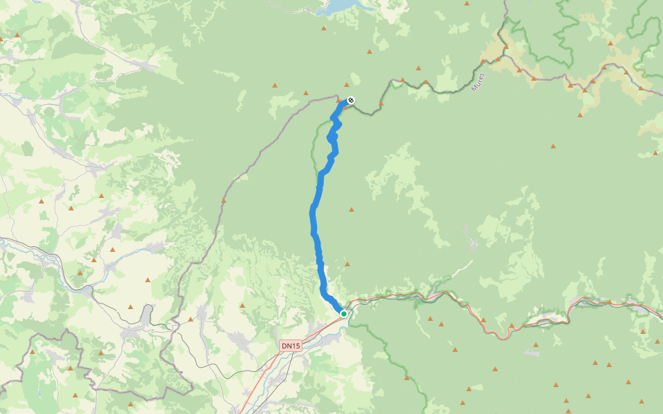Bistra Mureșului-Poiana Cofu walking route map in Bistra Mureşului