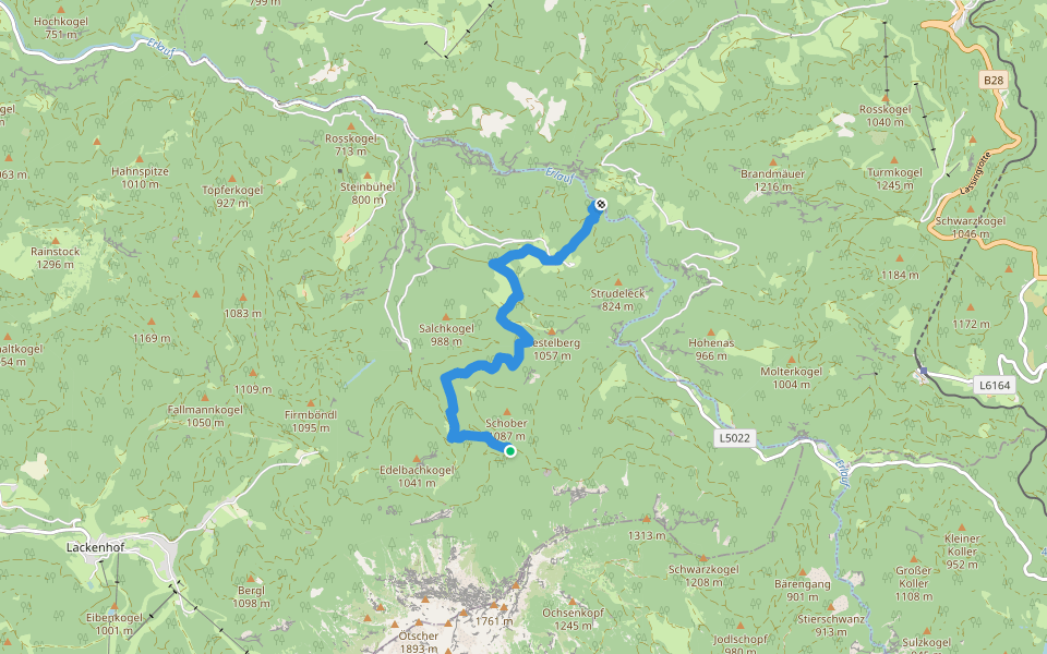 Erlauf (Trefflingfall) - Bärenlacken walking route map in Puchenstuben