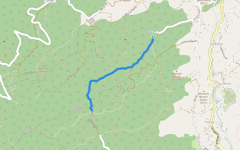 SL LP 131 Camino de La Ratona -SL LP 126 walking route map in Villa de Mazo