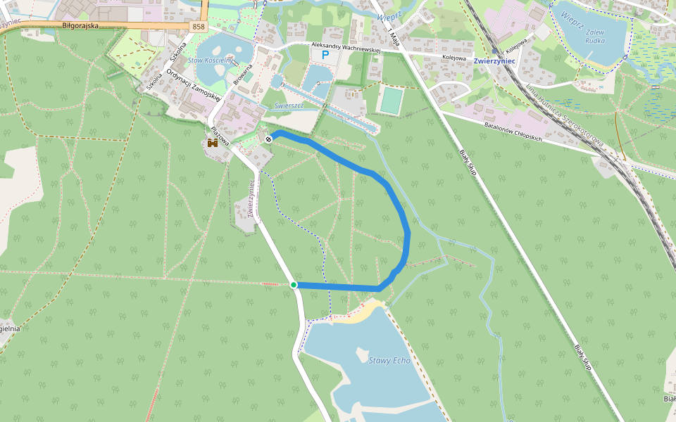 Ścieżka po wydmie do stawów 'Echo' walking route map in Bagno