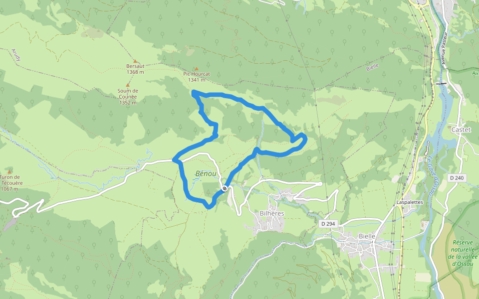 Le Plateau de Benou et les Cromlechs de Lous Couraus walking route map in Bilhères