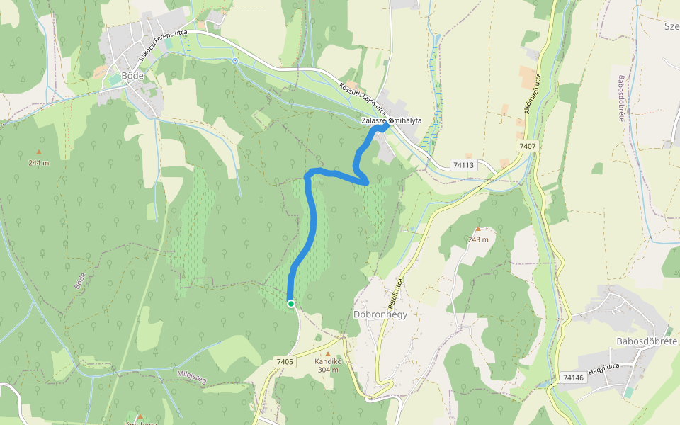P▲ (Szent Mihály-hegy – Zalaszentmihályfa) walking route map in Hottó