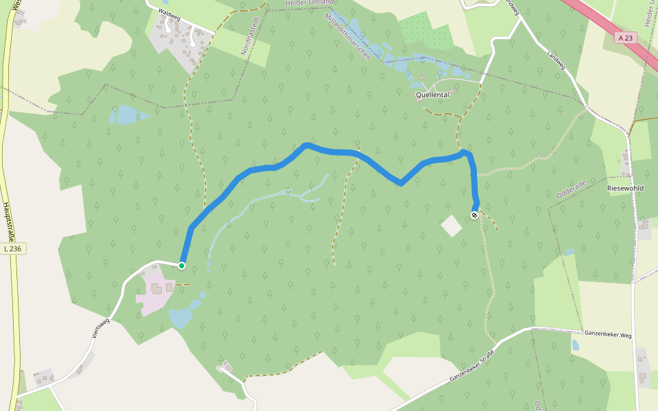 Riesewohld Tour A4 walking route map in Odderade