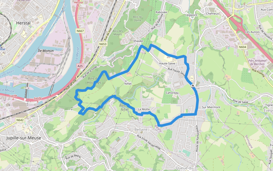 Promenade des Houlpais walking route map in Blegny