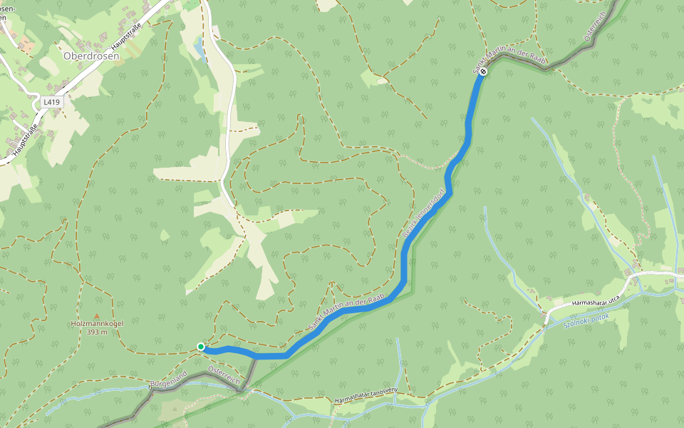 P (Holzmannkogel-nyereg – államhatár – Élmény-tisztás) walking route map in Oberdrosen