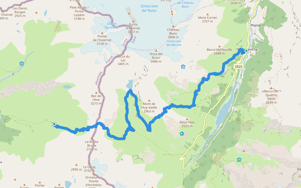 Via Alpina Red R119 walking route map in Valgrisenche