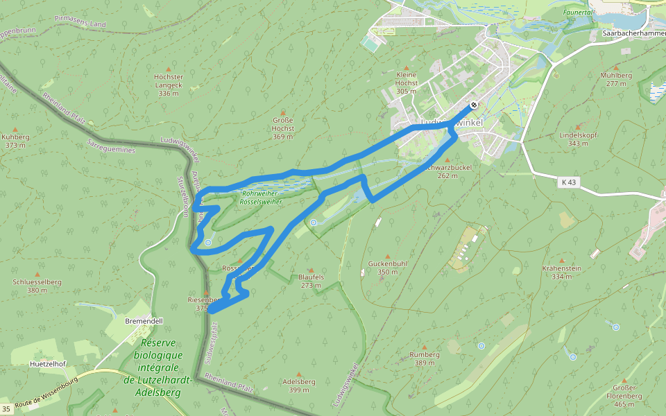 Ludwigswinkel Rundweg 4 walking route map in Ludwigswinkel