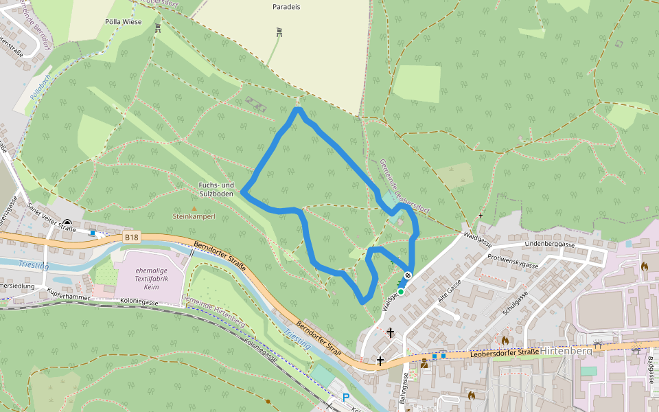 Fitness-Tour (Hirtenberg) walking route map in Hirtenberg