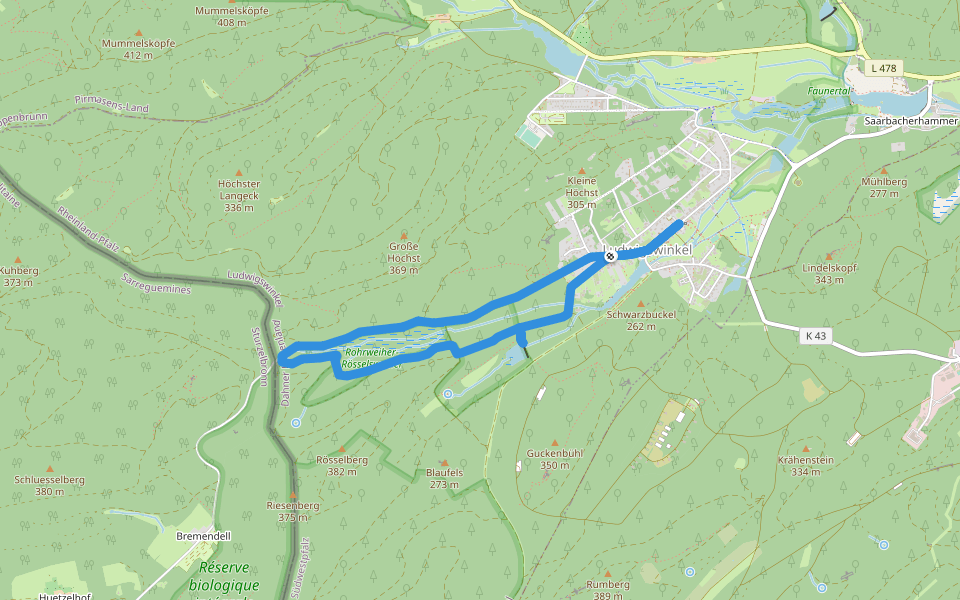 Ludwigswinkel Rundweg 5 walking route map in Ludwigswinkel