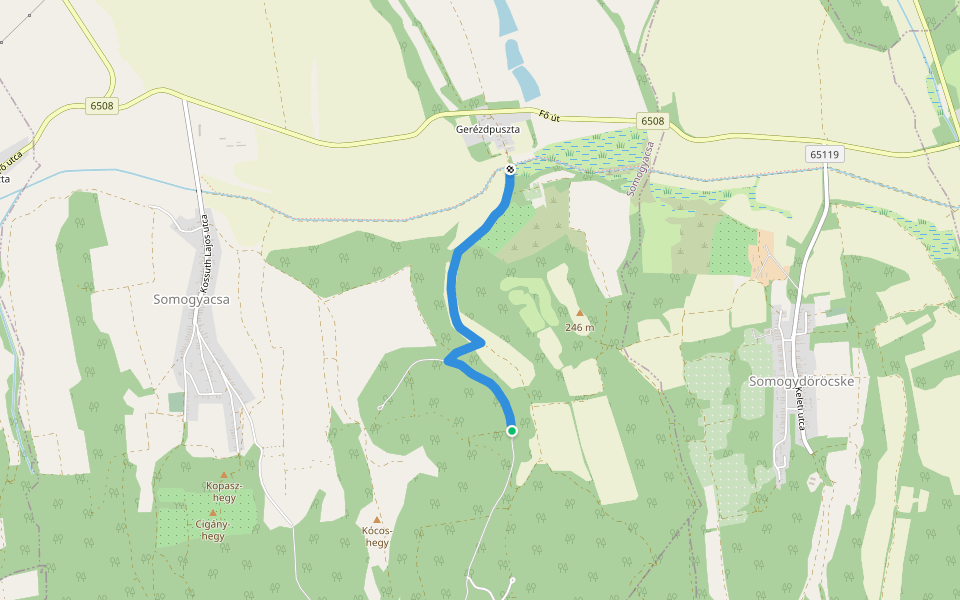Z + (Gerézdpuszta, Koppány híd – Török-réti-völgy, műút) walking route map in Somogyacsa
