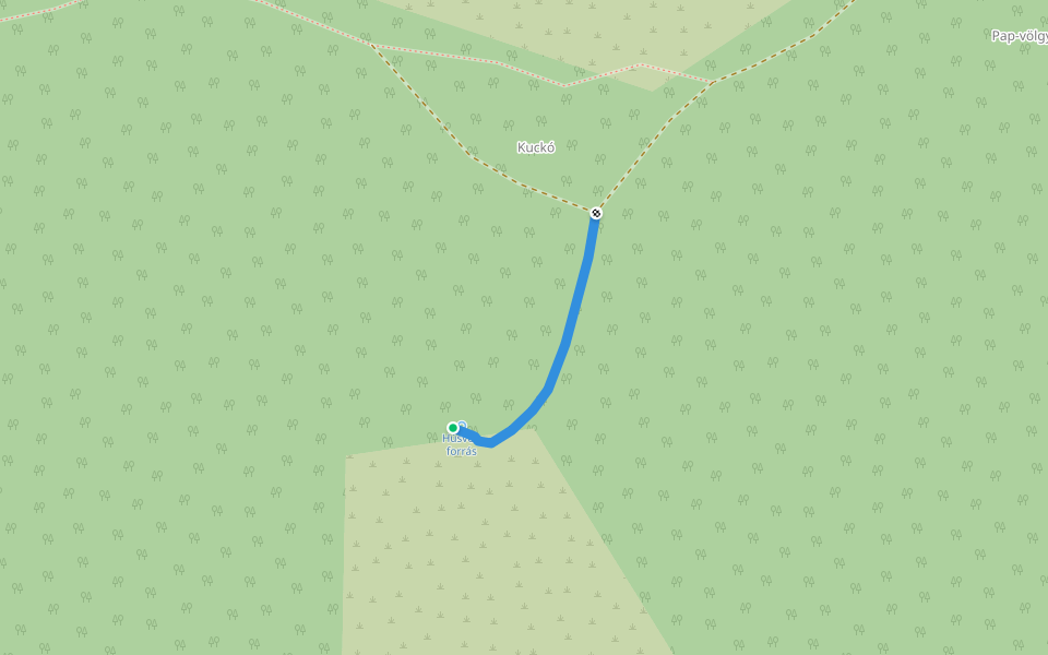 P● (Kuckó – Húsvét-forrás) walking route map in Kaposvár