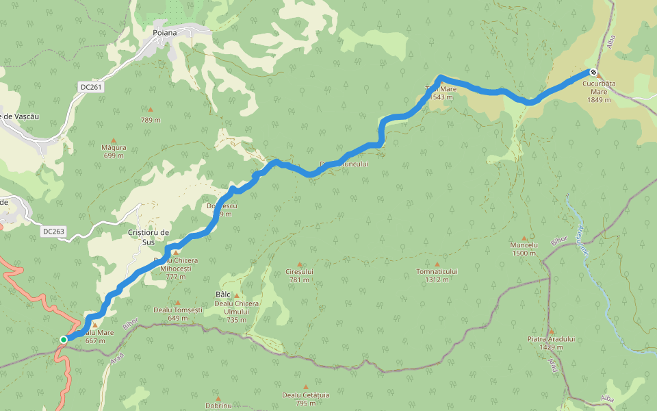 Pasul Criștior (Șaua Criștiorului) - Vf. Cucurbăta Mare (Vf. Bihor) walking route map in Criștioru de Sus