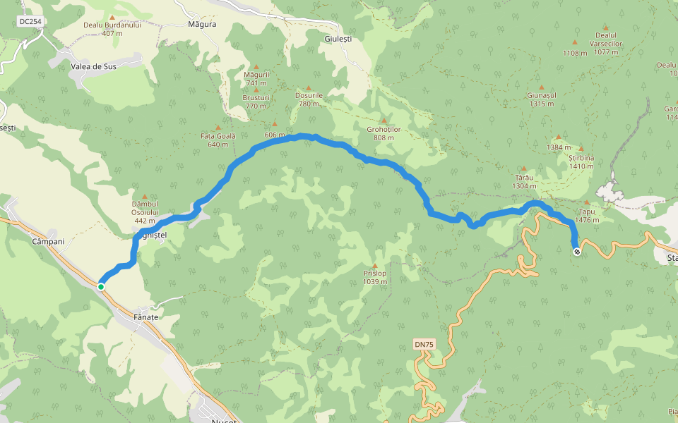 sat Câmpani (DN75) - Valea Sighiștelului - DN75 km 25+100 walking route map in Cîmpani