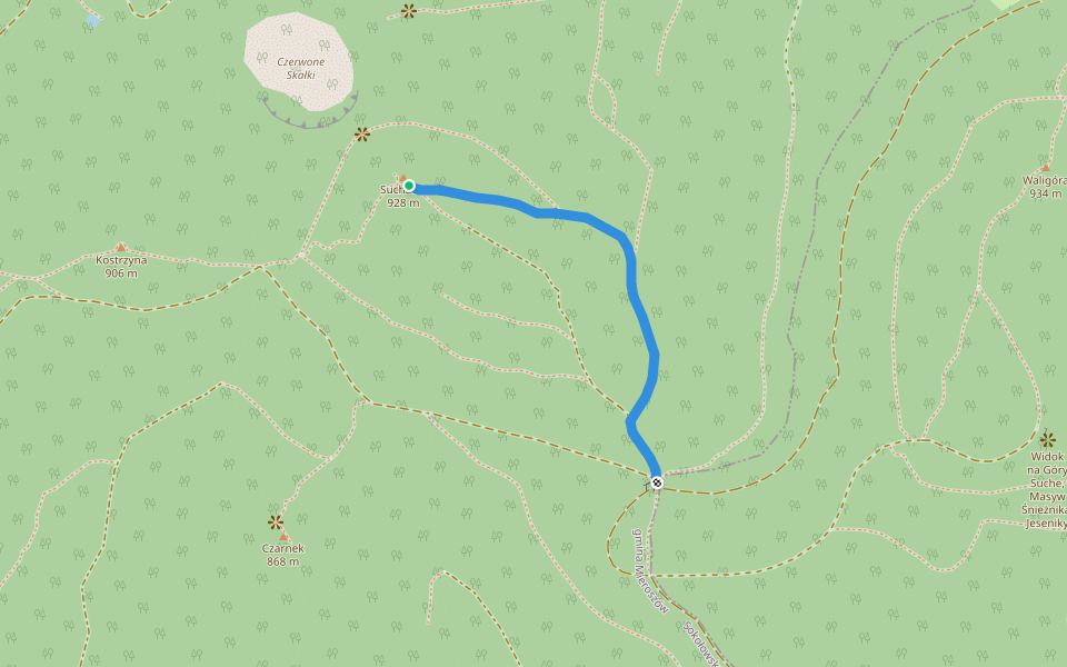 Suchawa - Rozdroże pod Waligórą walking route map in Sokołowsko