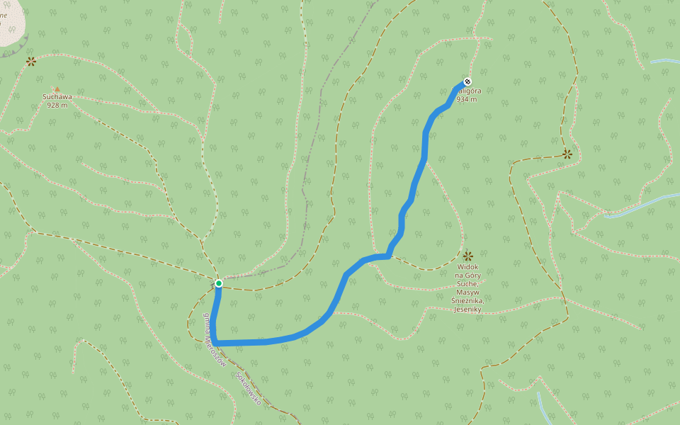 Rozdroże pod Waligórą - Waligóra walking route map in Rybnica Leśna